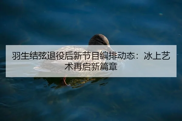 羽生结弦退役后新节目编排动态：冰上艺术再启新篇章